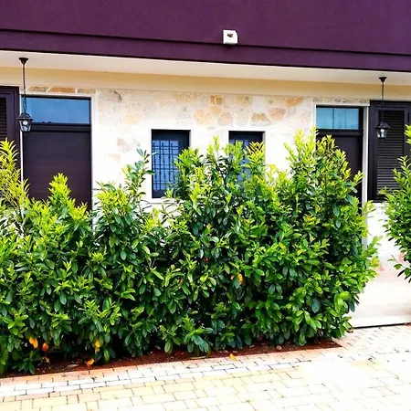 Eremo Del Dotto アパートホテル アルベロベッロ