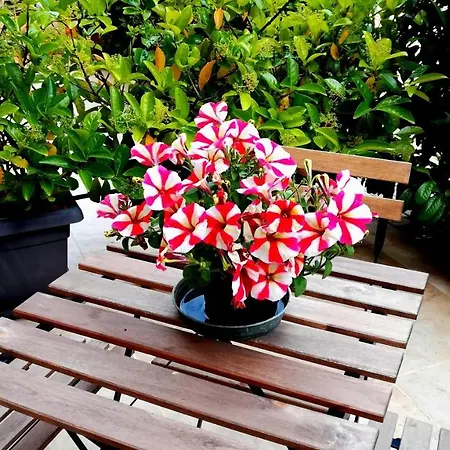 Eremo Del Dotto Hotel apartamentowy Alberobello