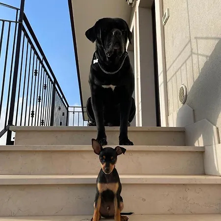 Eremo Del Dotto Ξενοδοχείο με διαμερίσματα 4*