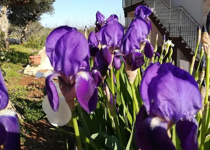 Eremo Del Dotto Apart-hotel Alberobello